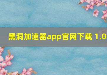 黑洞加速器app官网下载 1.0